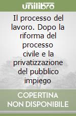 Il processo del lavoro. Dopo la riforma del processo civile e la privatizzazione del pubblico impiego libro