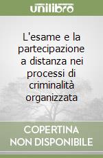 L'esame e la partecipazione a distanza nei processi di criminalità organizzata libro