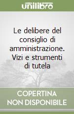 Le delibere del consiglio di amministrazione. Vizi e strumenti di tutela libro