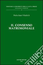 Il consenso matrimoniale. Tecniche di qualificazione e di esegesi delle cause canoniche di nullità (cc. 1095-1107 Cic) libro