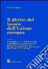 Il diritto del lavoro dell'unione europea. Vol. 2: Parità uomo donna. Ristrutturazioni e crisi d'Impresa. Salute e sicurezza dei lavoratori. Orario di lavoro. Formazione professionale... libro di Arrigo Gianni