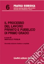 Il processo del lavoro privato e pubblico di primo grado libro