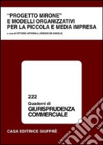 Progetto Mirone e modelli organizzativi per la piccola e media impresa libro