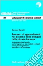 Processi di apprendimento nel governo dello sviluppo della piccola impresa. Una prospettiva basata sull'integrazione tra modelli contabili.. Con CD-ROM libro