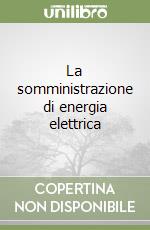 La somministrazione di energia elettrica libro