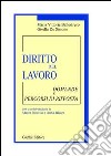 Diritto del lavoro. Domande e percorsi di risposta libro