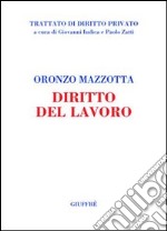 Diritto del lavoro. Il rapporto di lavoro libro