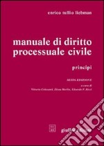 Manuale di diritto processuale civile. Principi libro usato
