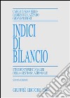 Indici di bilancio. Strumenti per l'analisi della gestione aziendale libro