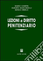 Lezioni di diritto penitenziario libro