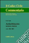 Arricchimento senza causa. Artt. 2041-2042 libro