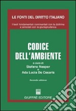 Codice dell'ambiente libro