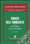 Codice dell'ambiente libro