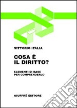 Cosa è il diritto? Elementi di base per comprenderlo libro