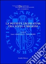 La potestà legislativa tra Stato e regioni. Atti del Seminario di studio (Grosseto, 23 maggio 2003) libro