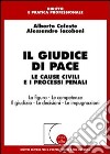 Il giudice di pace. Le cause civili e i processi penali. La figura. Le competenze. Il giudizio. Le decisioni. Le impugnazioni libro