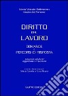 Diritto del lavoro. Domande e percorsi di risposta libro