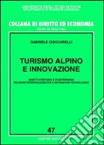 Turismo alpino e innovazione. Assetti strategici e di governance, relazioni interorganizzative e information technologies