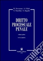 Diritto processuale penale (1) libro