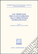 Dal Tribunale per la ex-Iugoslavia alla Corte penale internazionale libro