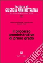 Il processo amministrativo di primo grado