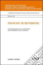 Principi di revisione. Documento 1005. Considerazioni sulla revisione delle imprese ed enti minori libro