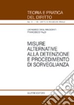 Misure alternative alla detenzione e procedimento di sorveglianza libro