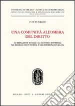 Una comunità all'ombra del diritto. La mediazione sociale e la giustizia informale nel modello statunitense e nell'esperienza italiana