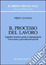 Il processo del lavoro. Il giudizio di primo grado, le impugnazioni, l'esecuzione, i procedimenti speciali libro