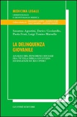 La delinquenza giovanile. Analisi del fenomeno sociale fra tutela della giustizia ed esigenze di recupero libro