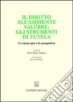 Il diritto all'ambiente salubre: gli strumenti di tutela. Lo status quo e le prospettive