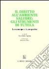 Il diritto all'ambiente salubre: gli strumenti di tutela. Lo status quo e le prospettive libro