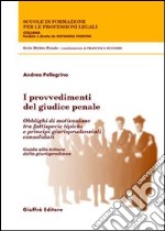 I provvedimenti del giudice penale. Obblighi di motivazione tra fattispecie tipiche e principi giurisprudenziali consolidati. Guida alla lettura della giurisprudenza libro