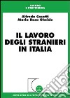 Il lavoro degli stranieri in Italia libro