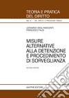 Misure alternative alla detenzione e procedimento di sorveglianza libro