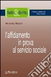 L'affidamento in prova al servizio sociale libro