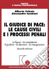 Il giudice di pace: le cause civili e i processi penali. La figura, le competenze, il giudizio, le decisioni, le impugnazioni libro