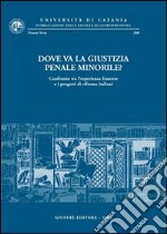 Dove va la giustizia penale minorile? Confronto tra l'esperienza francese e i progetti di riforma italiani libro