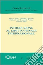 Introduzione al diritto penale internazionale