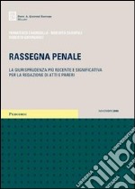 Rassegna penale. La giurisprudenza più recente e significativa per la redazione di atti e pareri