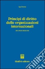 Principi di diritto delle organizzazioni internazionali libro