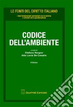 Codice dell'ambiente libro