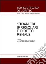 Stranieri irregolari e diritto penale libro