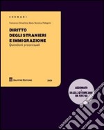 Diritto degli stranieri e immigrazione. Questioni processuali libro