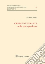 Credito e finanza nella giurisprudenza