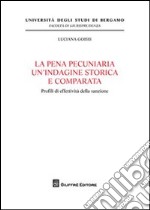 La pena pecuniaria un'indagine storica e comparata. Profili di effetività della sanzione libro