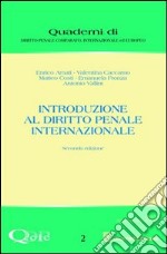 Introduzione al diritto penale internazionale