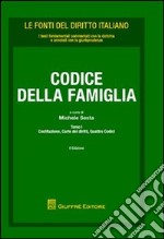 Codice di famiglia: Costituzione, carte dei diritti, quattro codici-Leggi collegate-Leggi di altri settori e ordinamenti libro