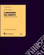 Il recupero del credito. Questioni processuali