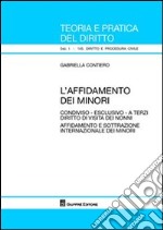 L'affidamento dei minori